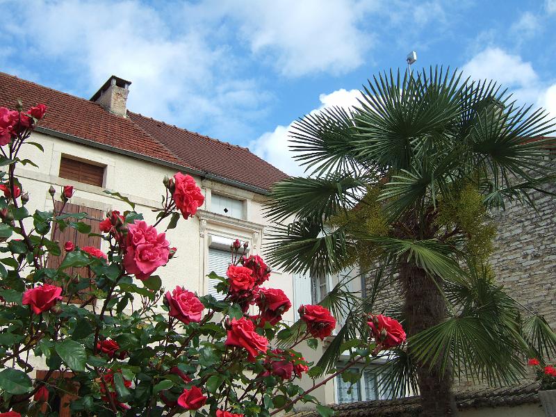 2010-05- (46).JPG
